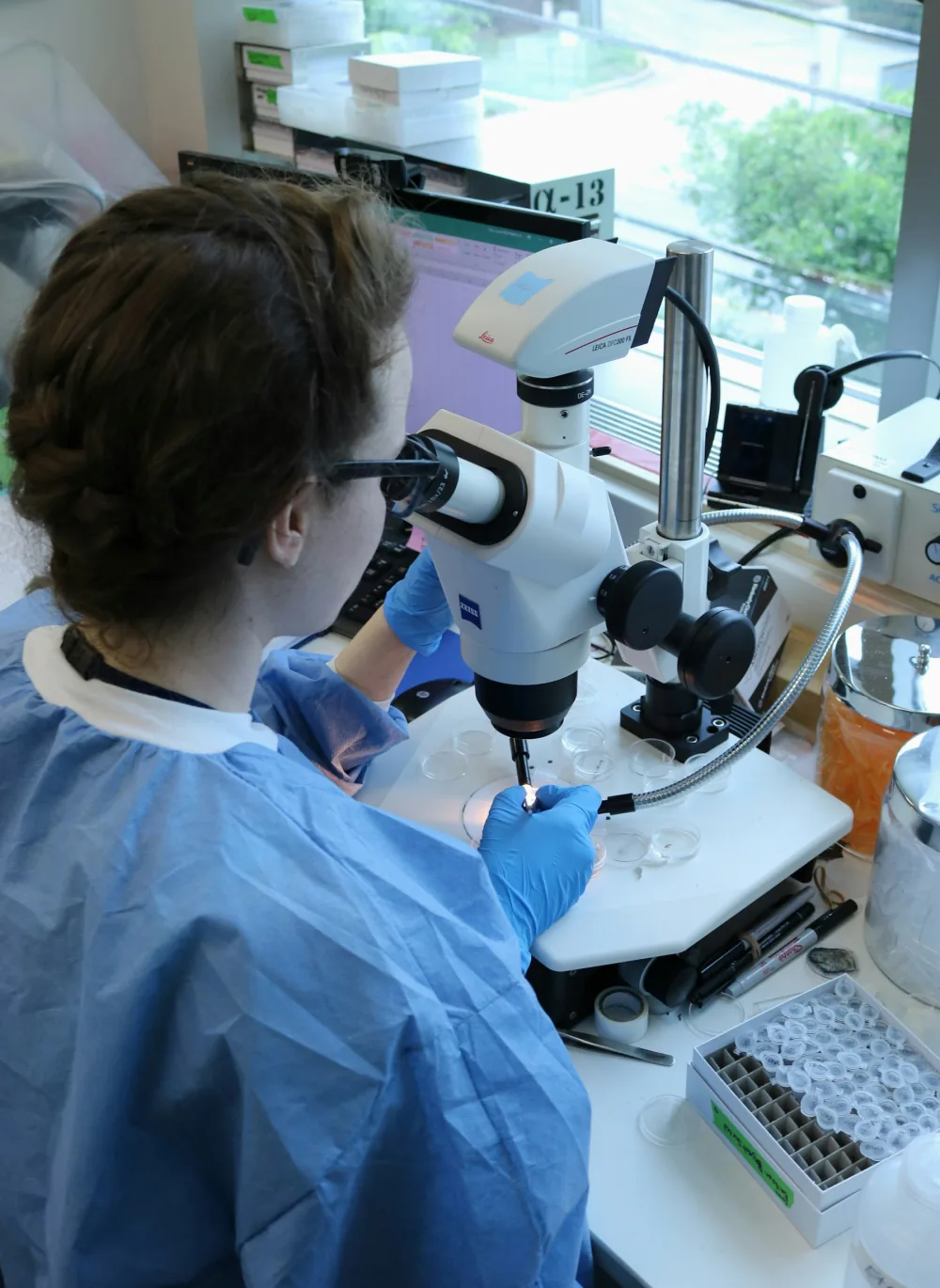 Researcher at laboratory microscope